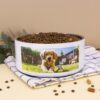 Stainless Steel Dog Bowl White (4)